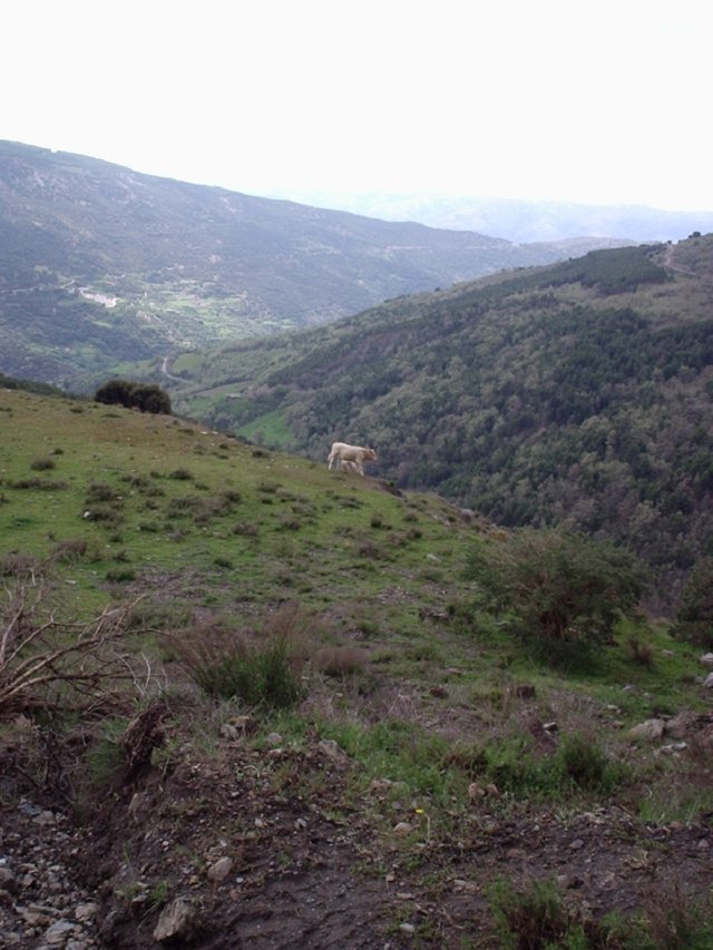 P5280079 Wandeling Trevelez  naar Portgos